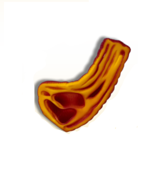 Costilla